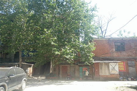 老汽车站附近面粉厂家属院3室2厅1卫有储藏室